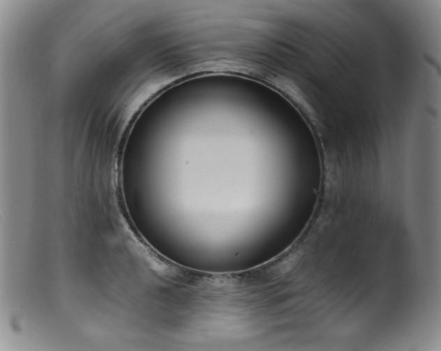 X0000099551040200805161447