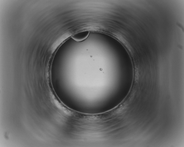 X0000099551042200805161447