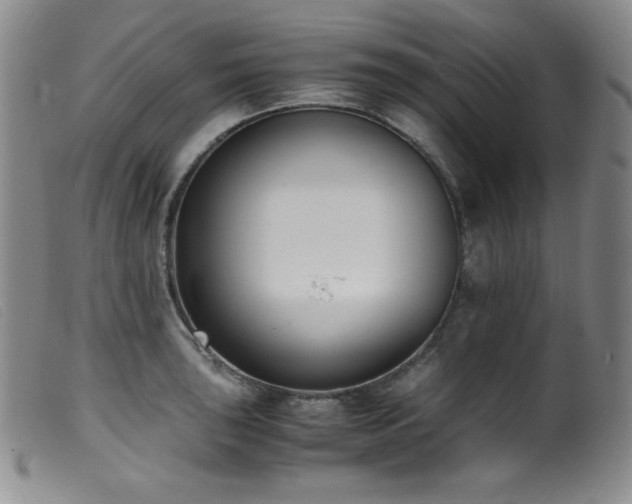 X0000099551043200805161447