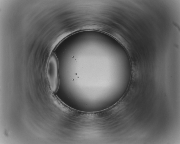 X0000099551044200805161447
