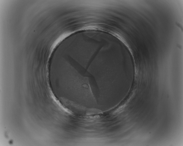 X0000099551045200805161447