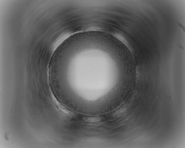 X0000099551047200805161447
