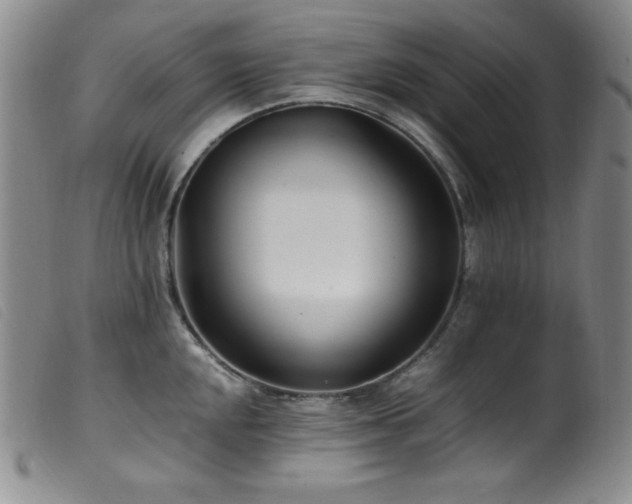 X0000099551048200805161447