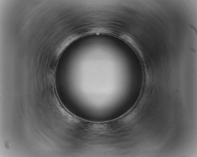 X0000099551049200805161447