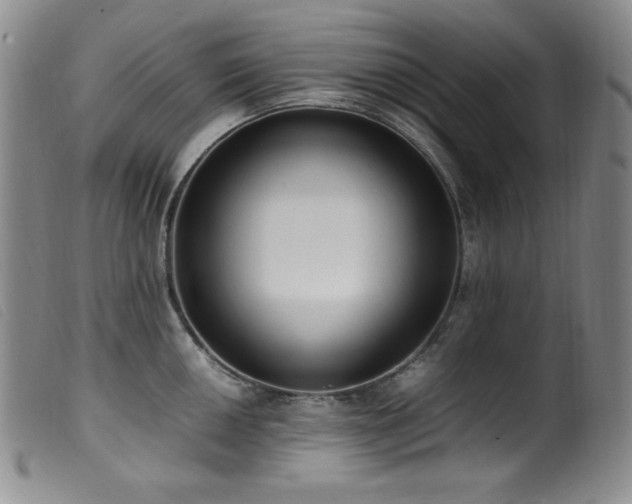X0000099551050200805161447