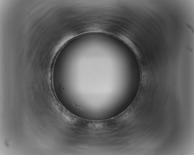 X0000099551051200805161447