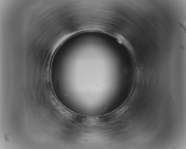 X0000099551052200805161447