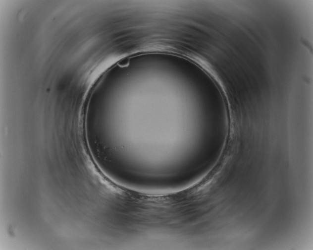 X0000099551053200805161447
