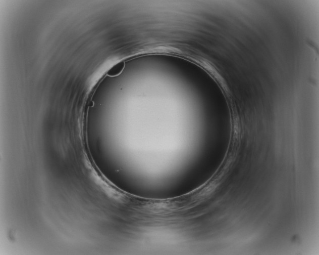 X0000099551054200805161447