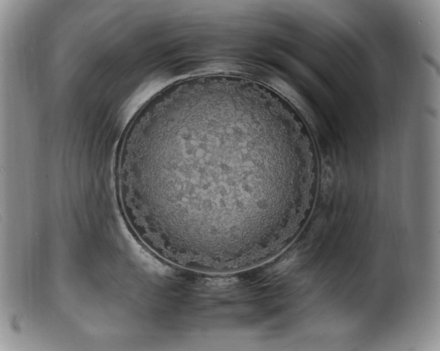 X0000099551055200805161447