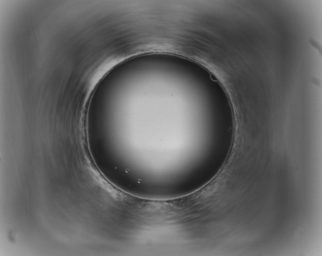 X0000099551056200805161447