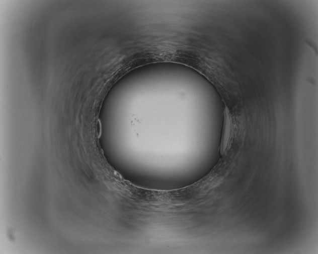 X0000099551057200805161446