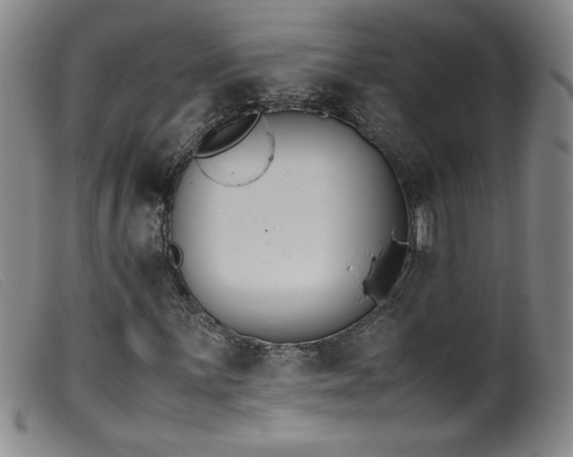 X0000099551059200805161446