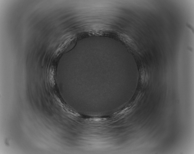 X0000099551060200805161446