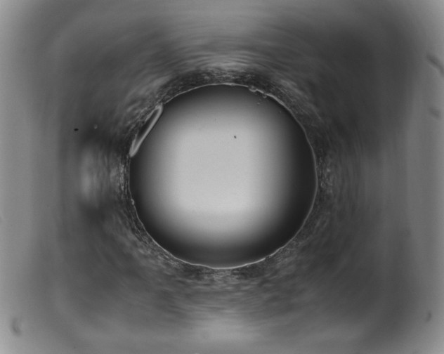 X0000099551061200805161446