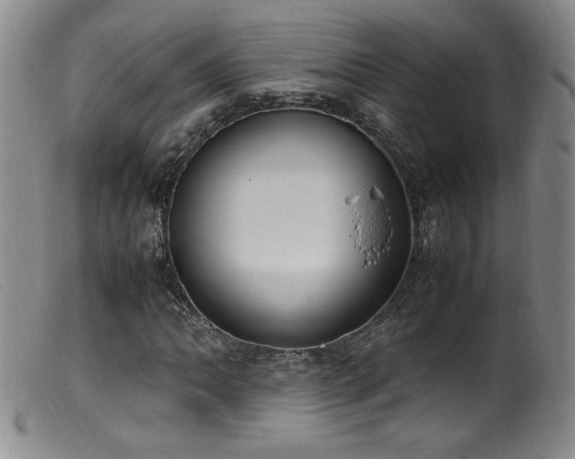 X0000099551062200805161446