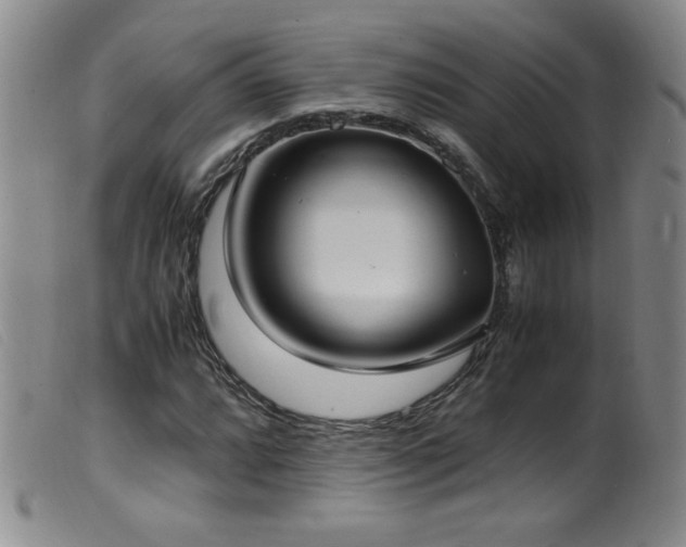 X0000099551064200805161446