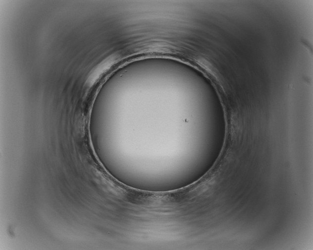 X0000099551067200805161446