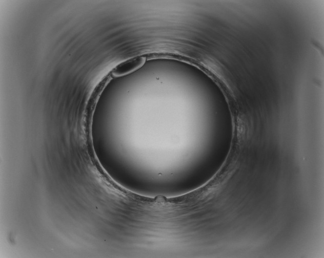 X0000099551068200805161446