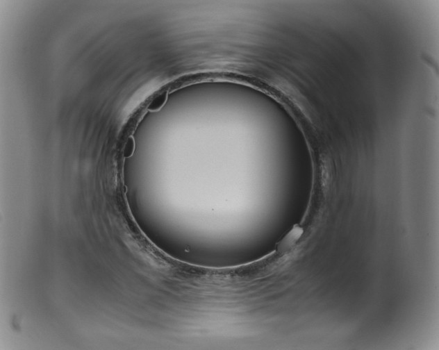 X0000099551069200805161446
