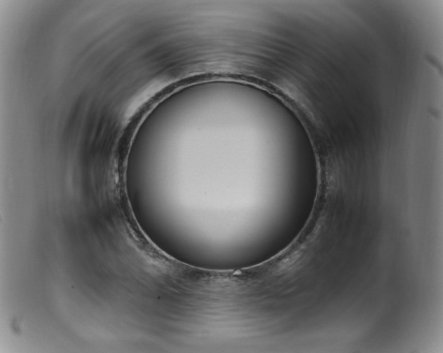 X0000099551070200805161446