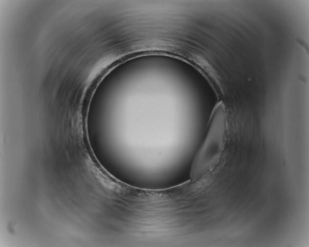 X0000099551072200805161446