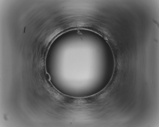 X0000099551073200805161446