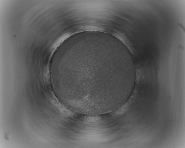 X0000099551074200805161446