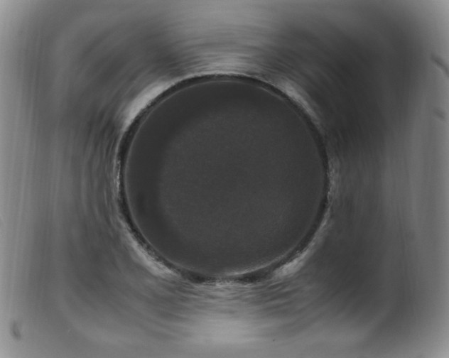 X0000099551077200805161446