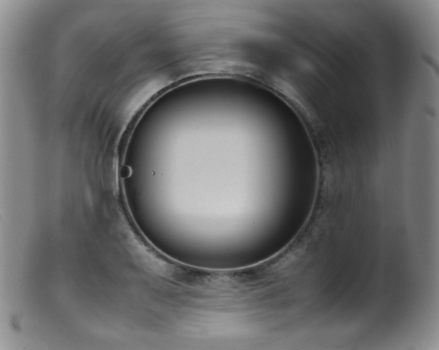X0000099551079200805161446