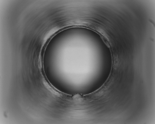 X0000099551080200805161446
