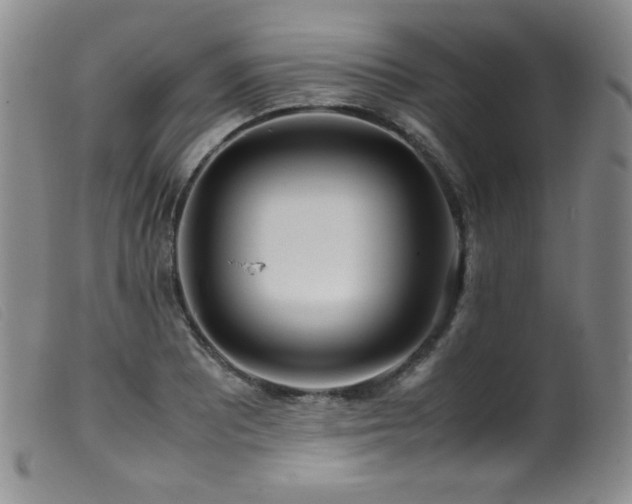 X0000099551081200805161446