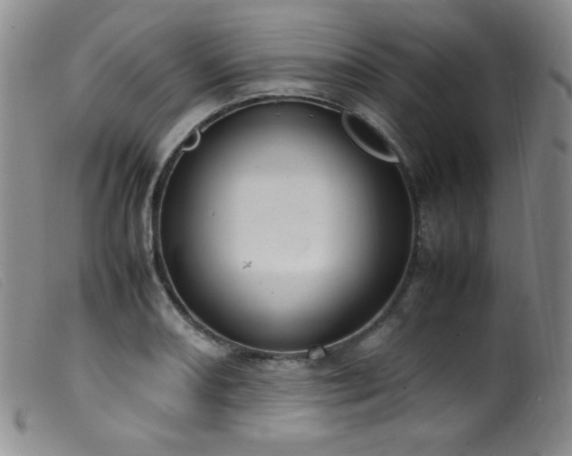 X0000099551082200805161446