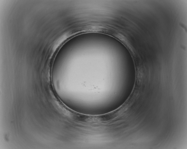 X0000099551083200805161446