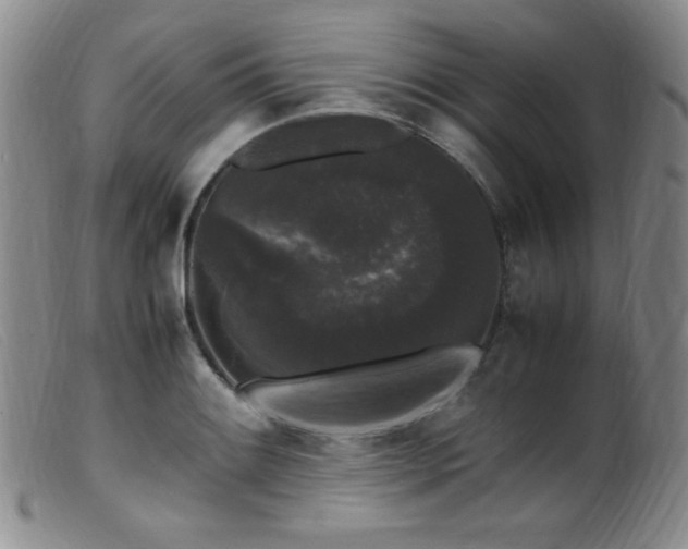 X0000099551084200805161446
