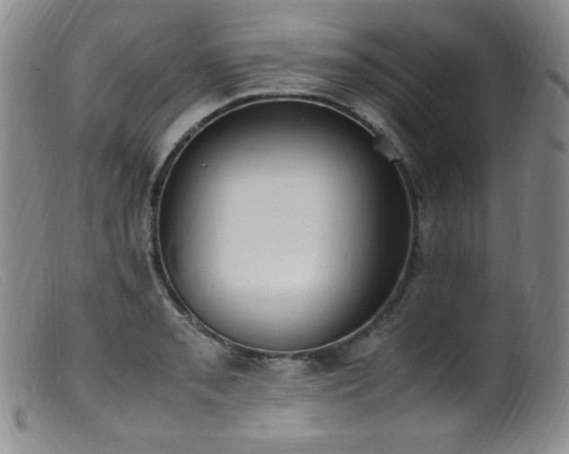 X0000099551085200805161446