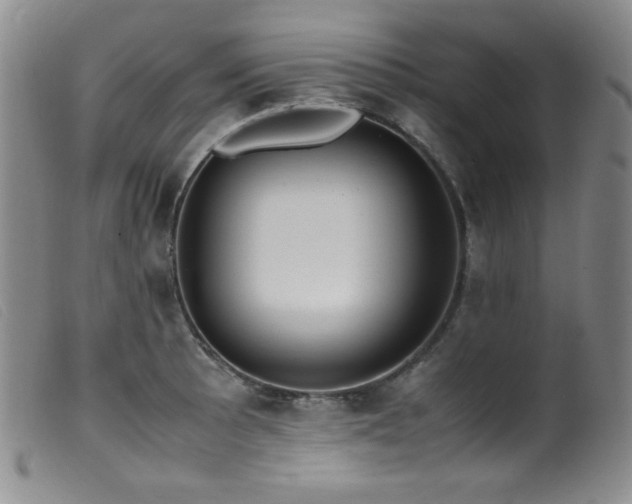 X0000099551089200805161445