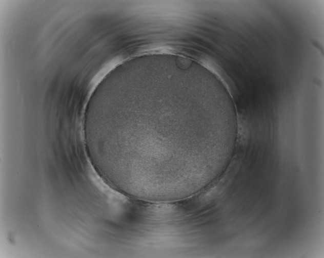 X0000099551090200805161445