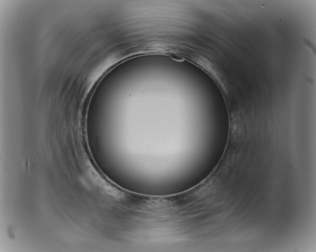 X0000099551091200805161445