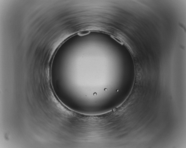 X0000099551092200805161445