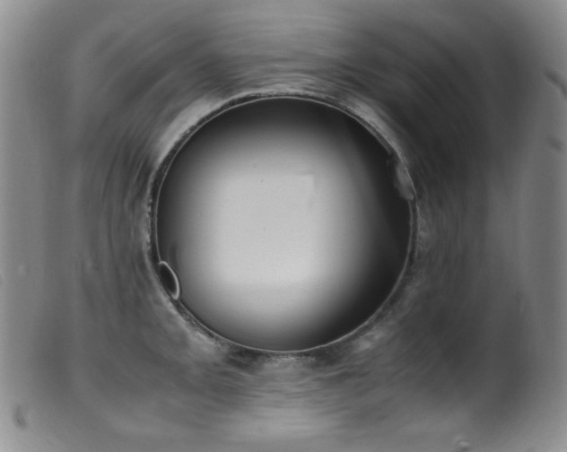 X0000099551093200805161445
