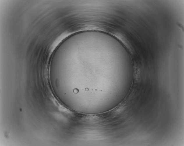 X0000099551094200805161445
