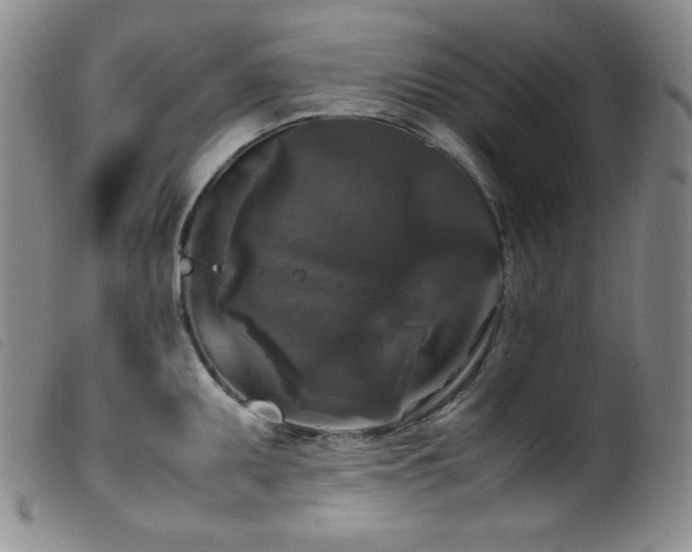 X0000099551095200805161445
