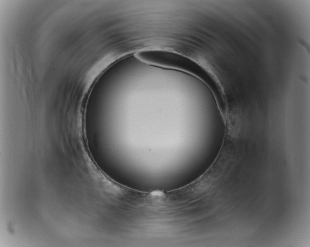 X0000099551096200805161445