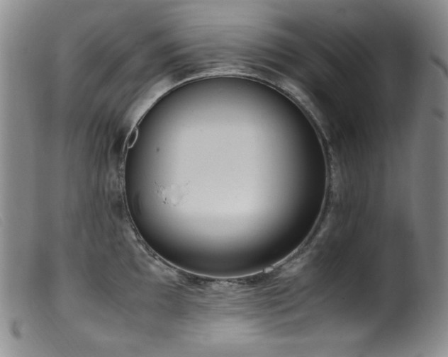X0000099551097200805161445