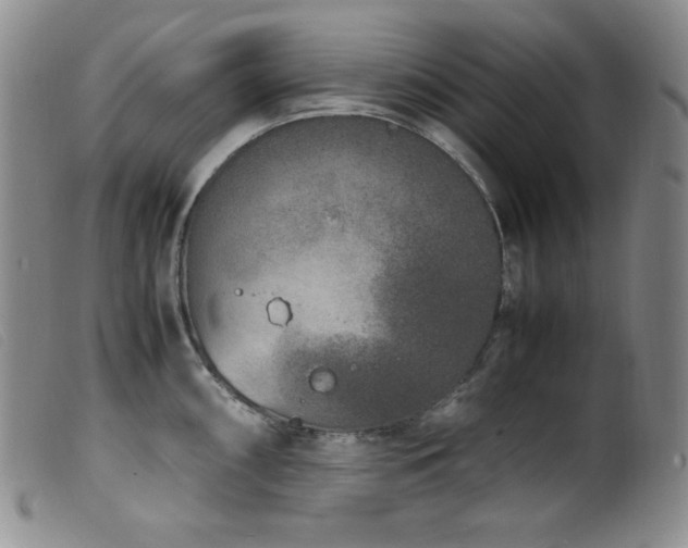 X0000099551098200805161445