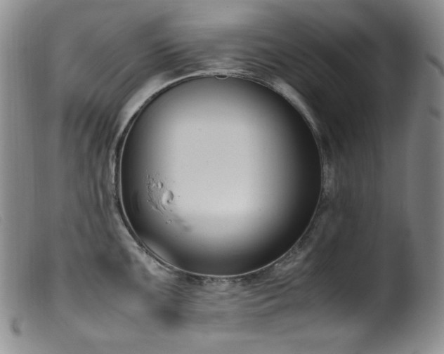 X0000099551099200805161445