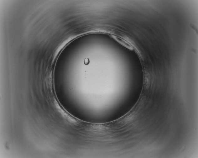 X0000099551100200805161445