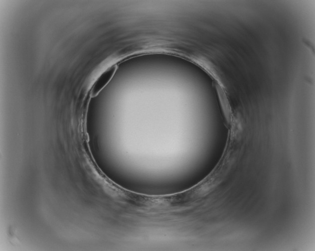 X0000099551101200805161445
