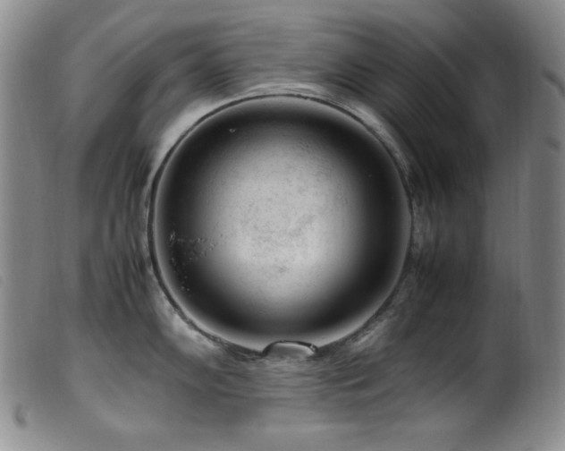X0000099551102200805161445